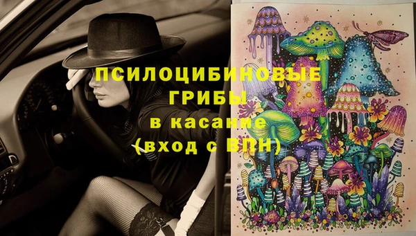 таблы Туринск